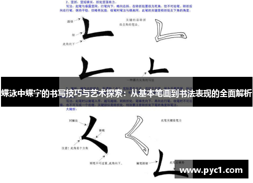 蝶泳中蝶字的书写技巧与艺术探索：从基本笔画到书法表现的全面解析